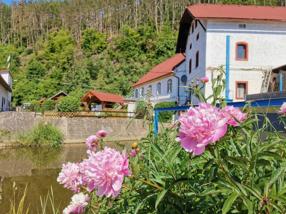 Cechuv Mlyn Hrebecniky Exterior photo